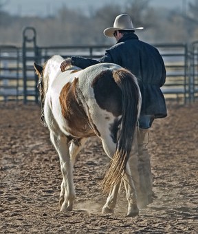 Impressionen vom Informations- und Erlebnistag pferdegestütztes Coaching